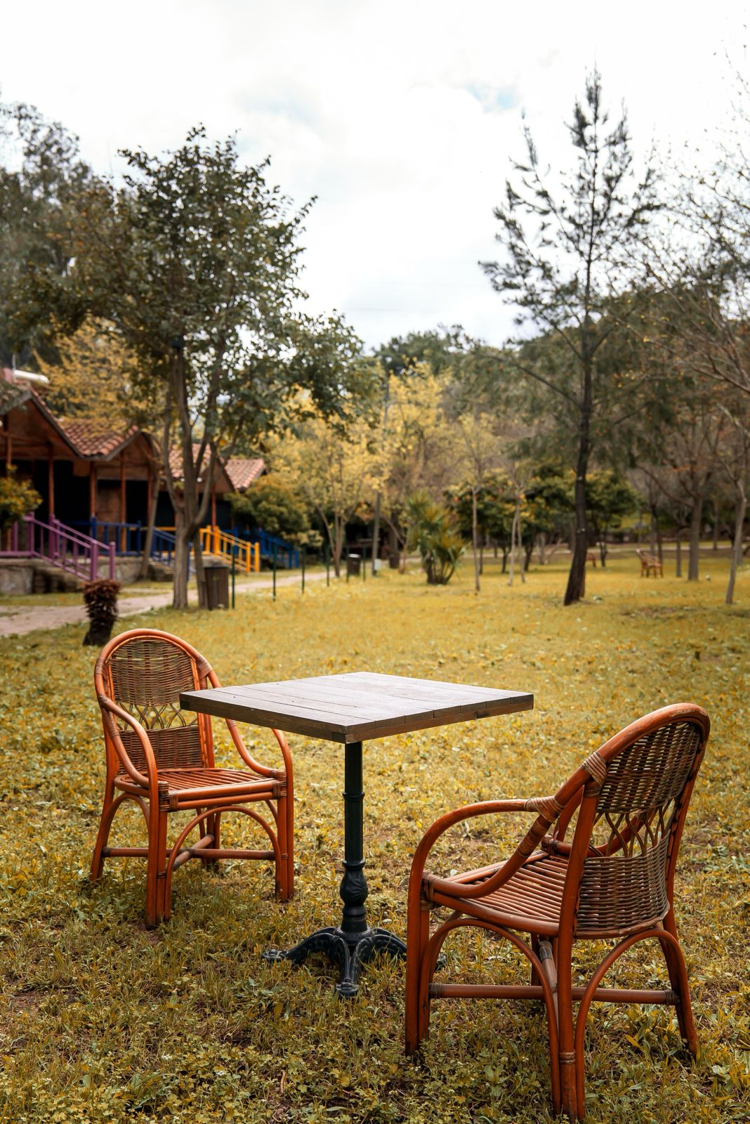 Welt Bungalows — Modern Bungalov ve Doğa Manzaraları