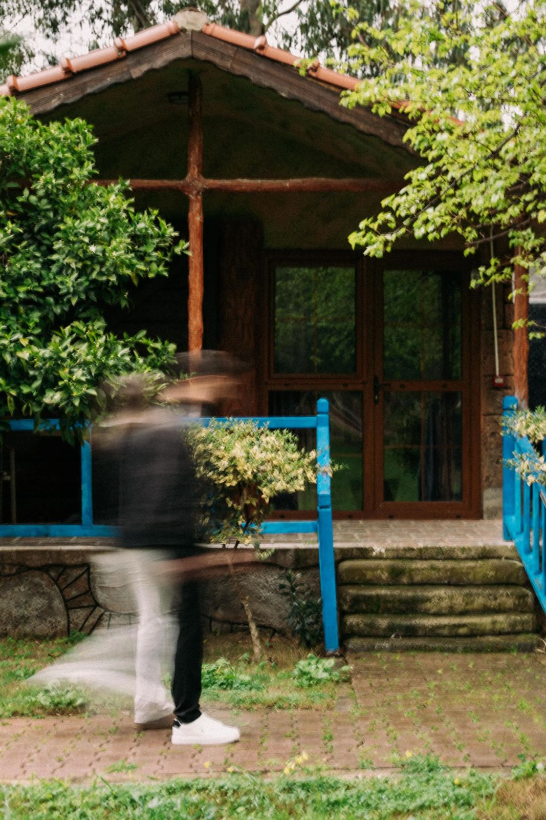 Welt Bungalows — Modern Bungalov ve Doğa Manzaraları