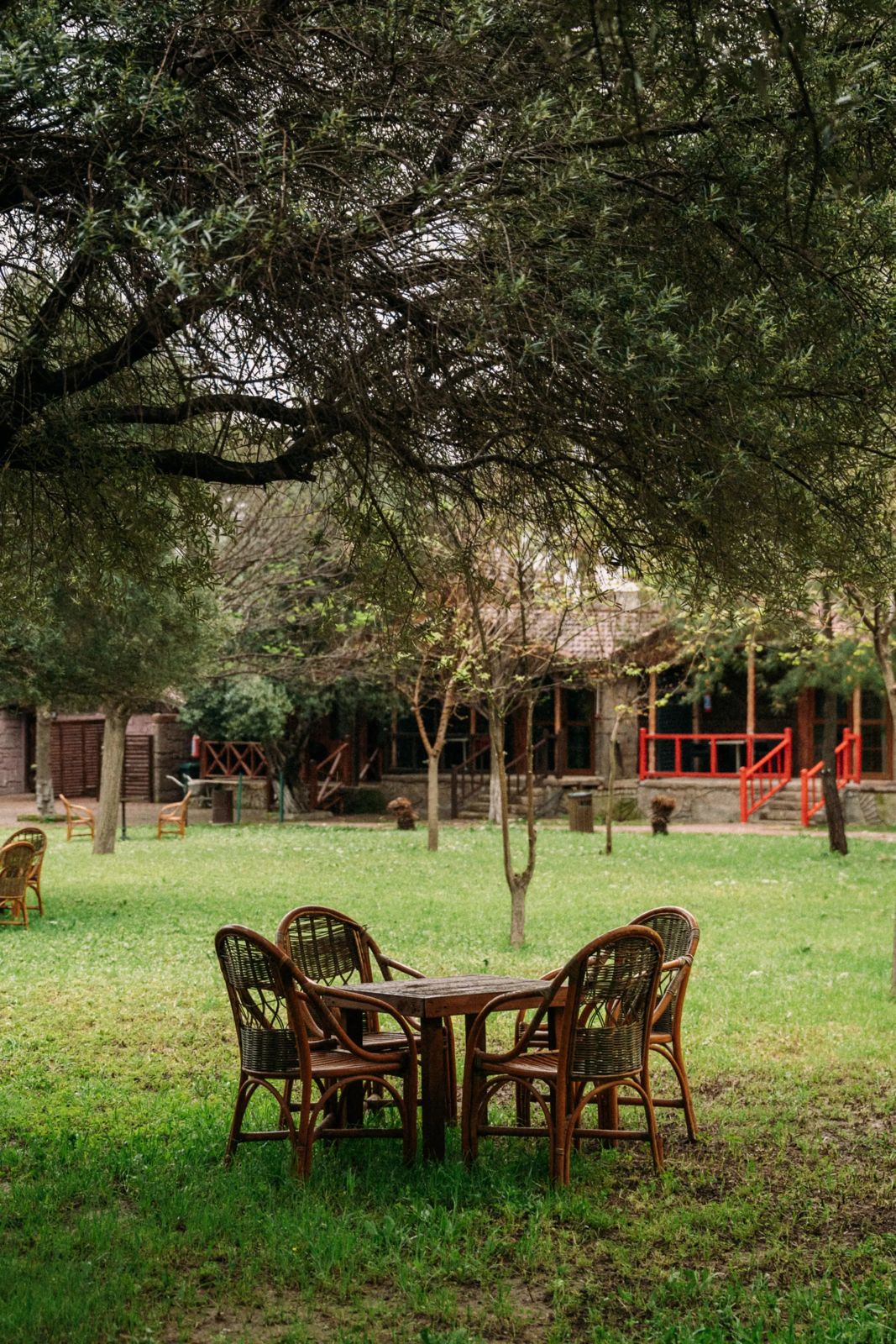 Welt Bungalows — Modern Bungalov ve Doğa Manzaraları