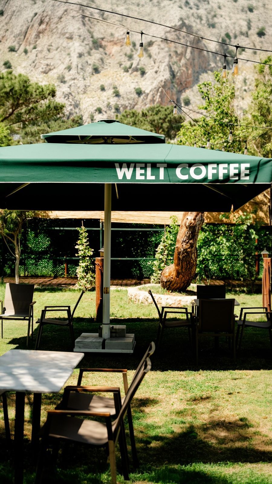 Welt Bungalows — Modern Bungalov ve Doğa Manzaraları