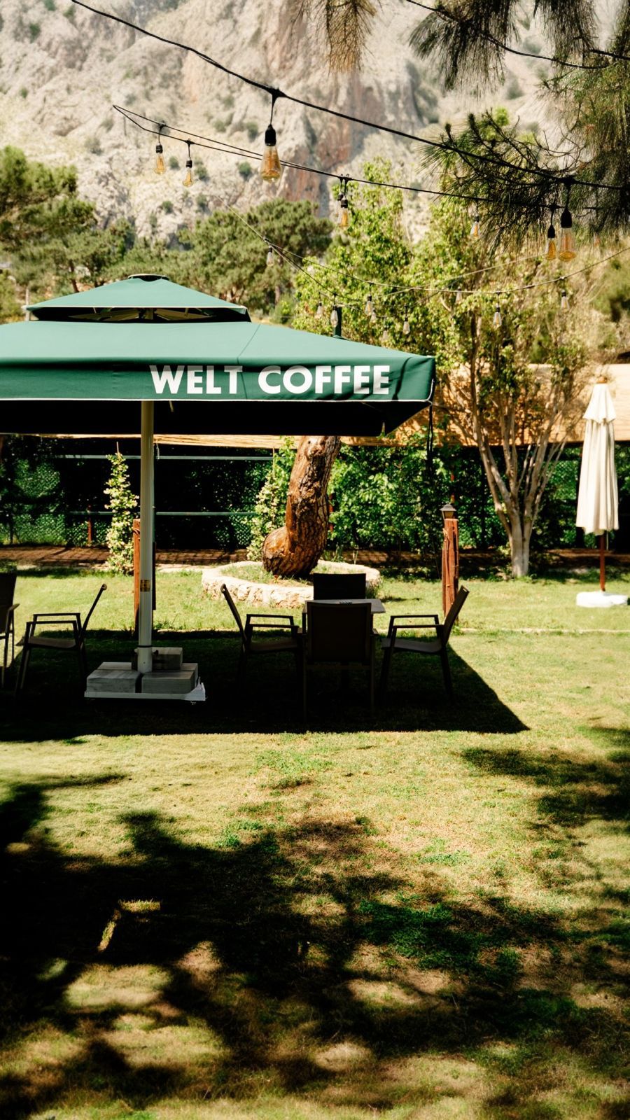 Welt Bungalows — Modern Bungalov ve Doğa Manzaraları