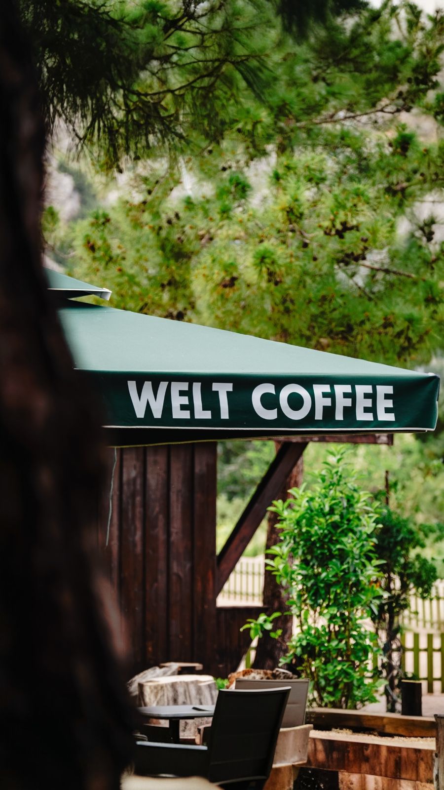 Welt Bungalows — Modern Bungalov ve Doğa Manzaraları