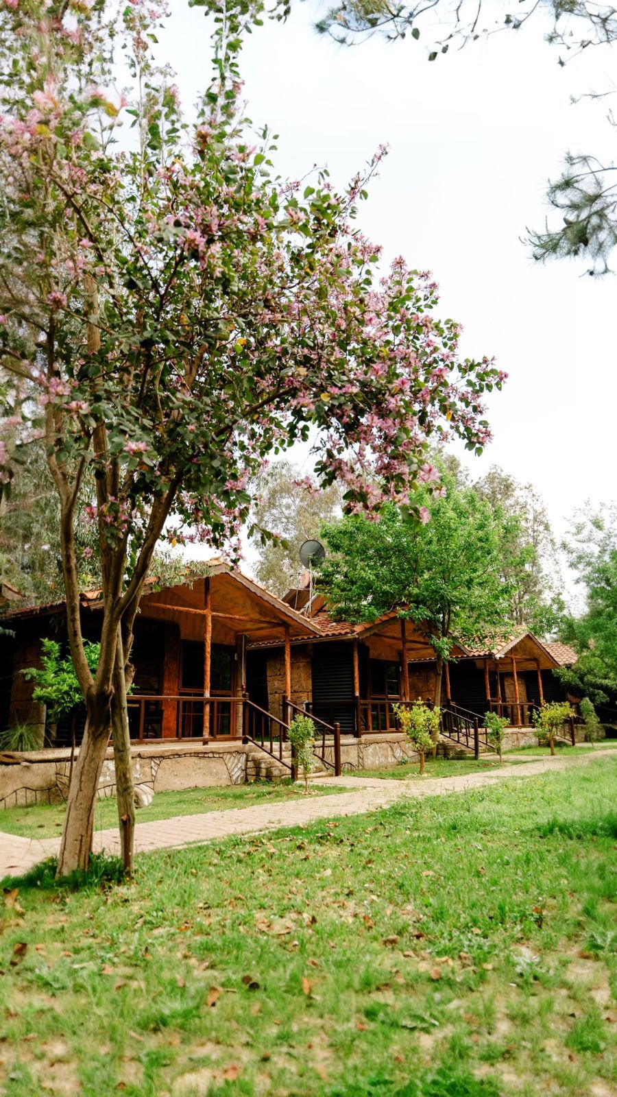 Welt Bungalows — Modern Bungalov ve Doğa Manzaraları